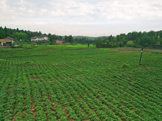 点击新窗口打开