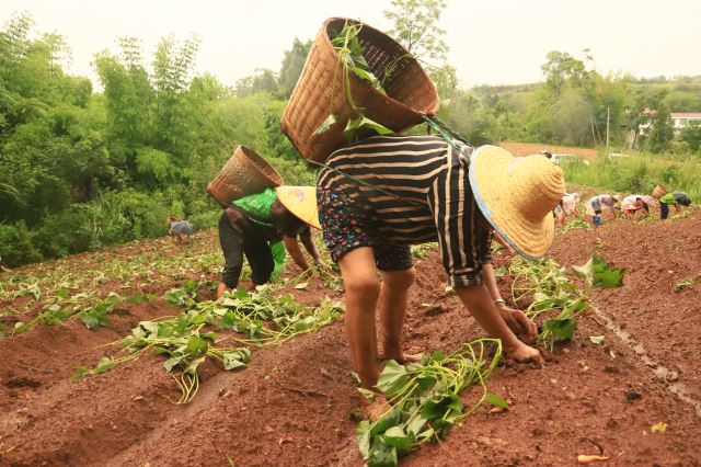 点击新窗口打开
