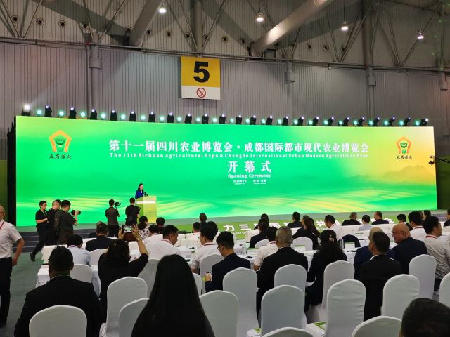 点击新窗口打开